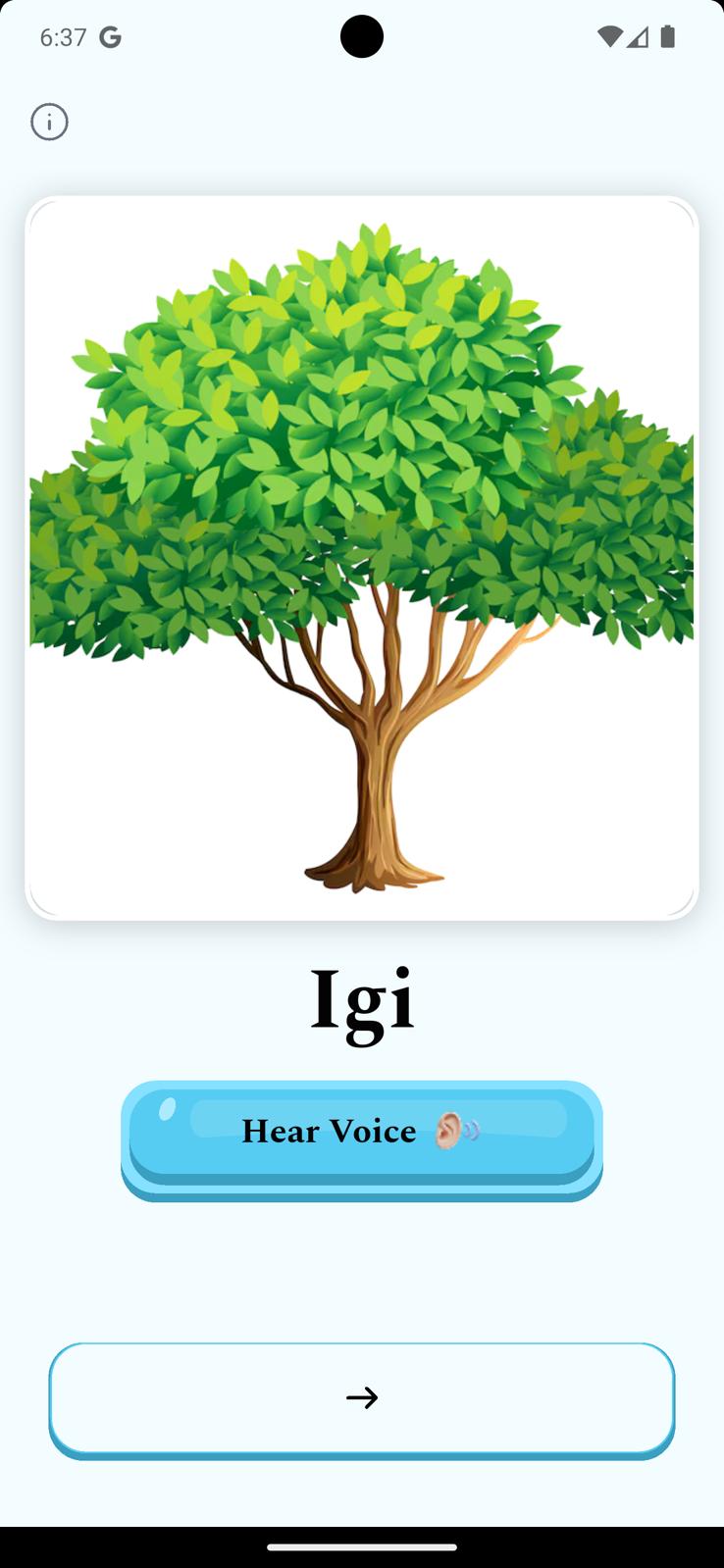 WhatsApp Image 2026-04-04 at 14.34.12 (3)